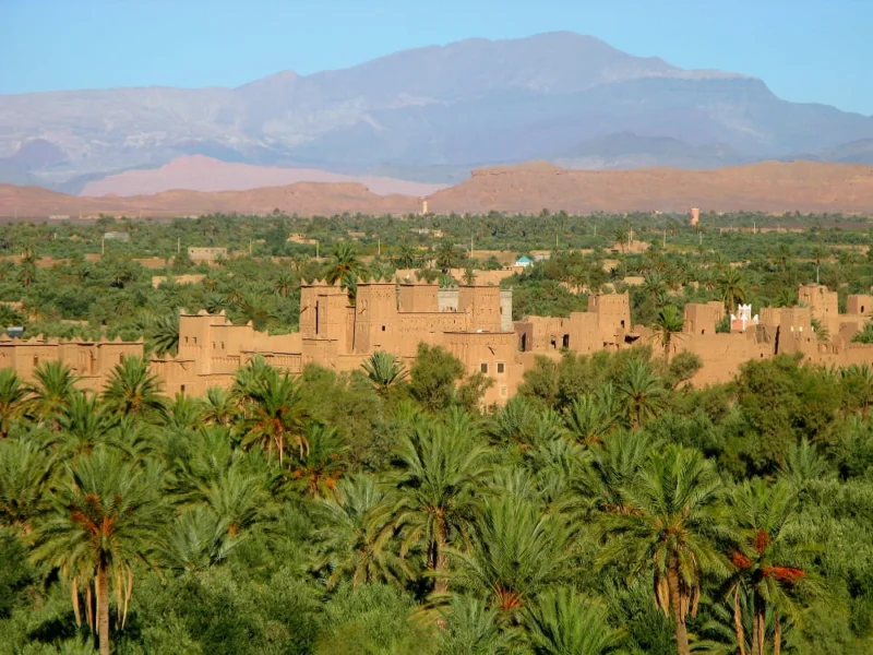 Desert Dunes and Oasis Towns of Morocco
