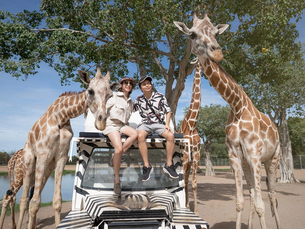 Group Packages and Safari Tours in Kenya